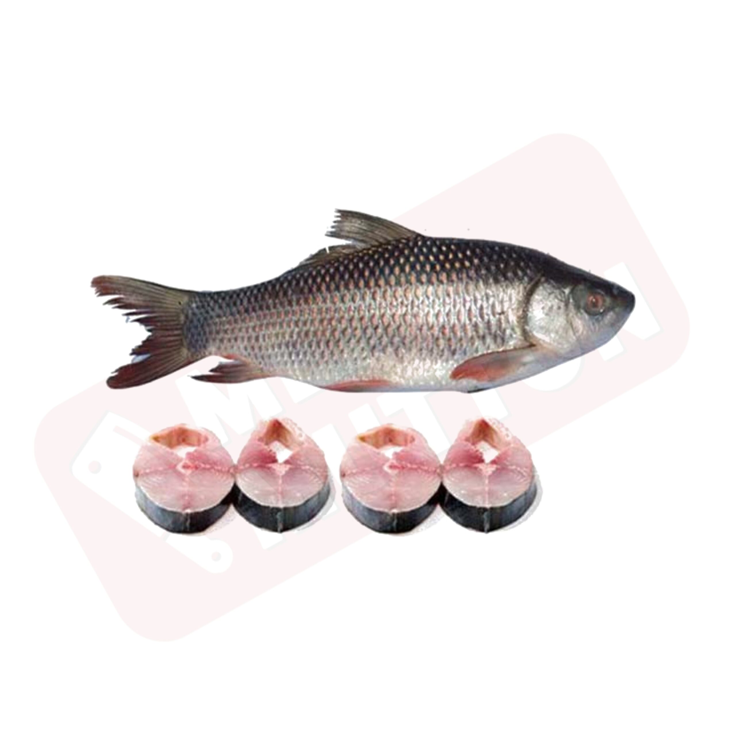 Fish